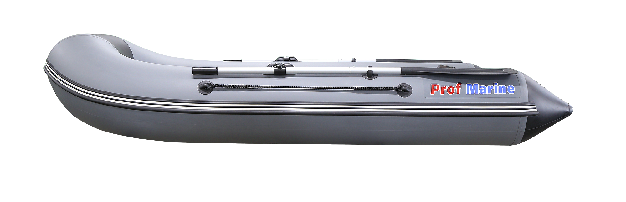 ProfMarine PM 300 CL ProfMarine PM 300 CL
